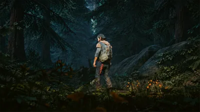 Lone Hiker in a Shadowed Forest