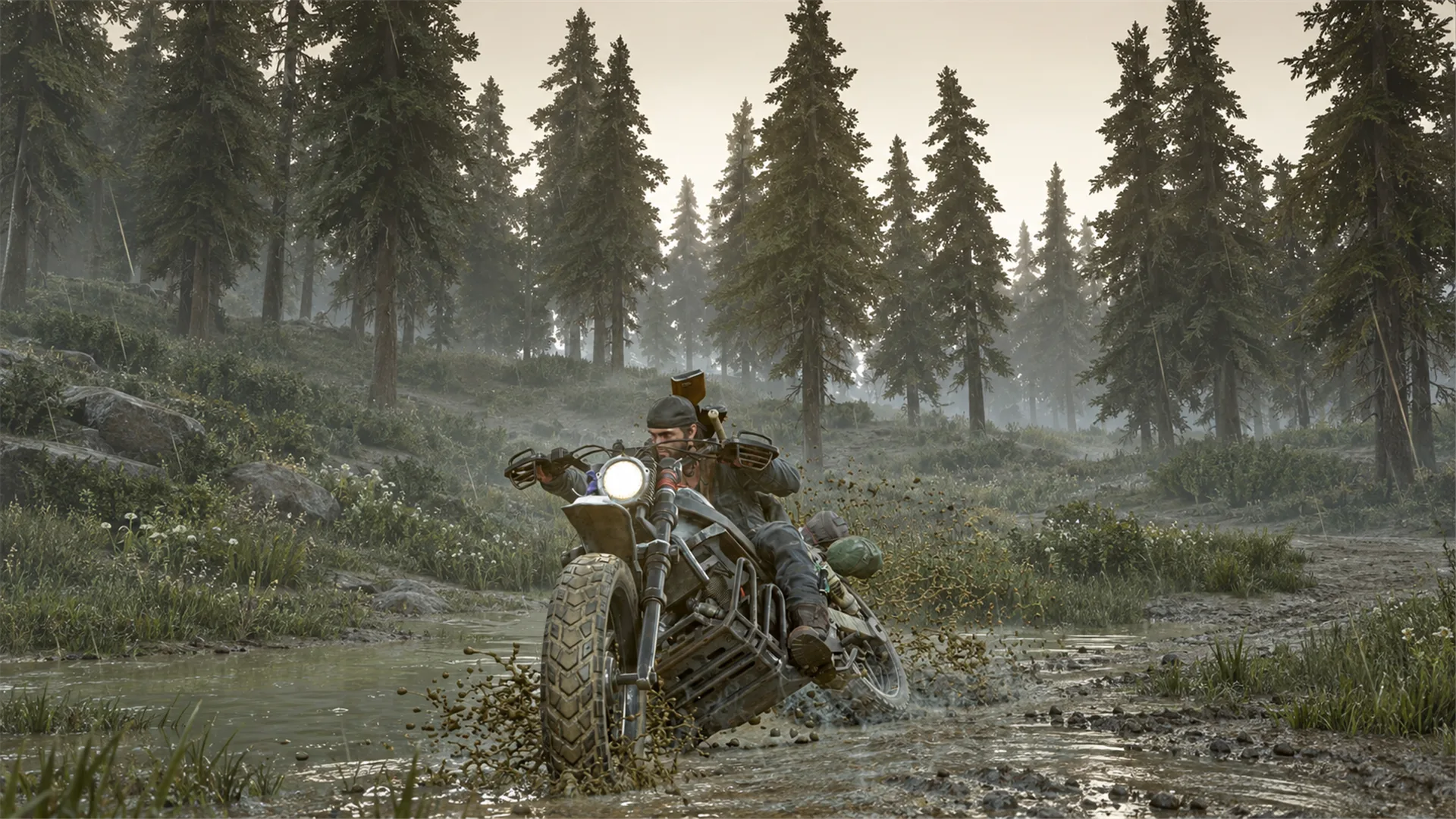 Motorcycle Rider in a Misty Forest