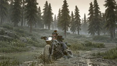 Motorcycle Rider in a Misty Forest
