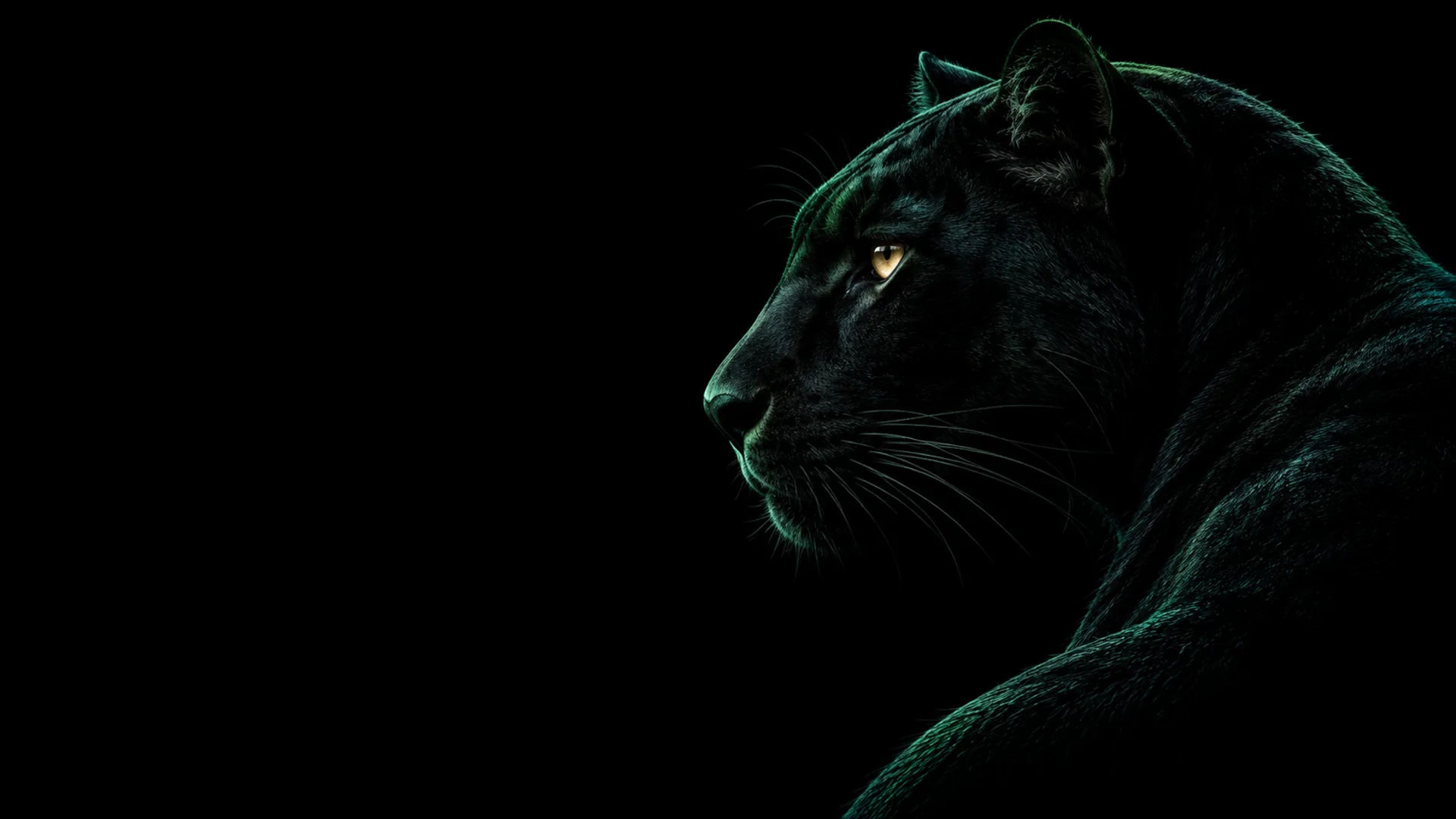 Black Panther in Teal Light