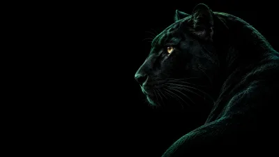 Black Panther in Teal Light