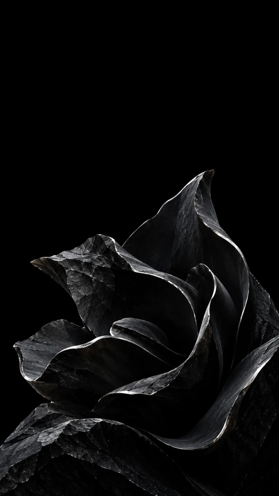 Black Sculptural Flower