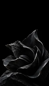 Black Sculptural Flower