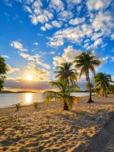 Sunset Over a Palm-Lined Beach