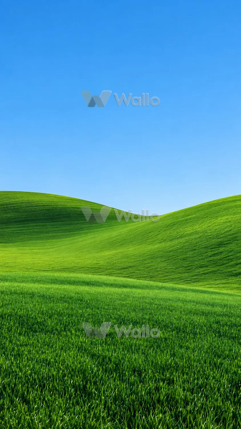 Remastered Nature
