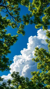 Serene Nature, Faithfully Restored