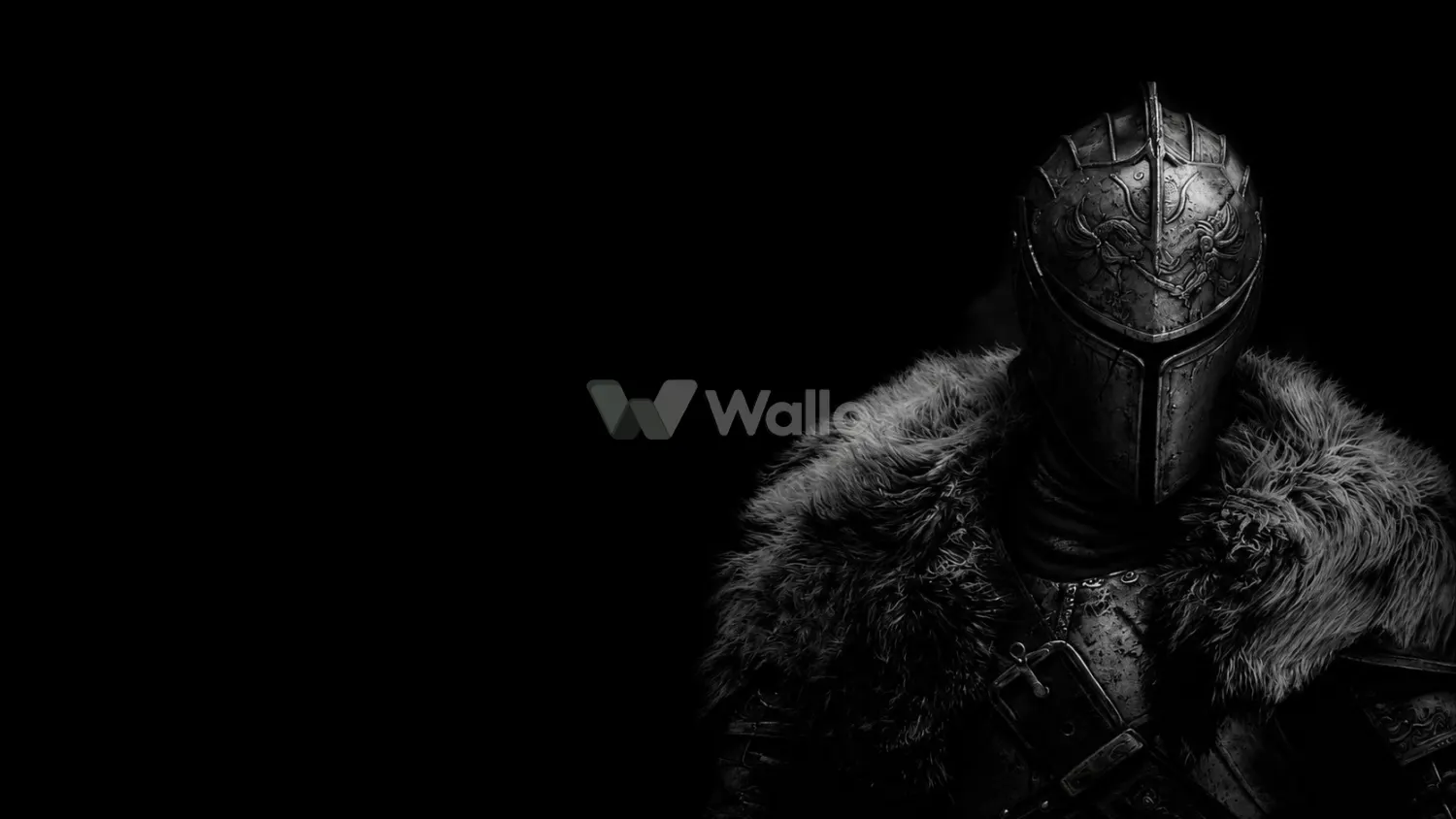 Shadowed Black Steel Knight