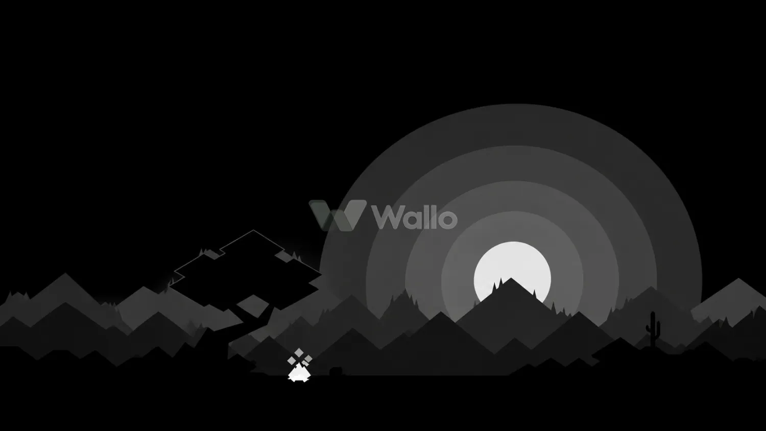 Geometric Camp