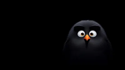 Little Black Bird