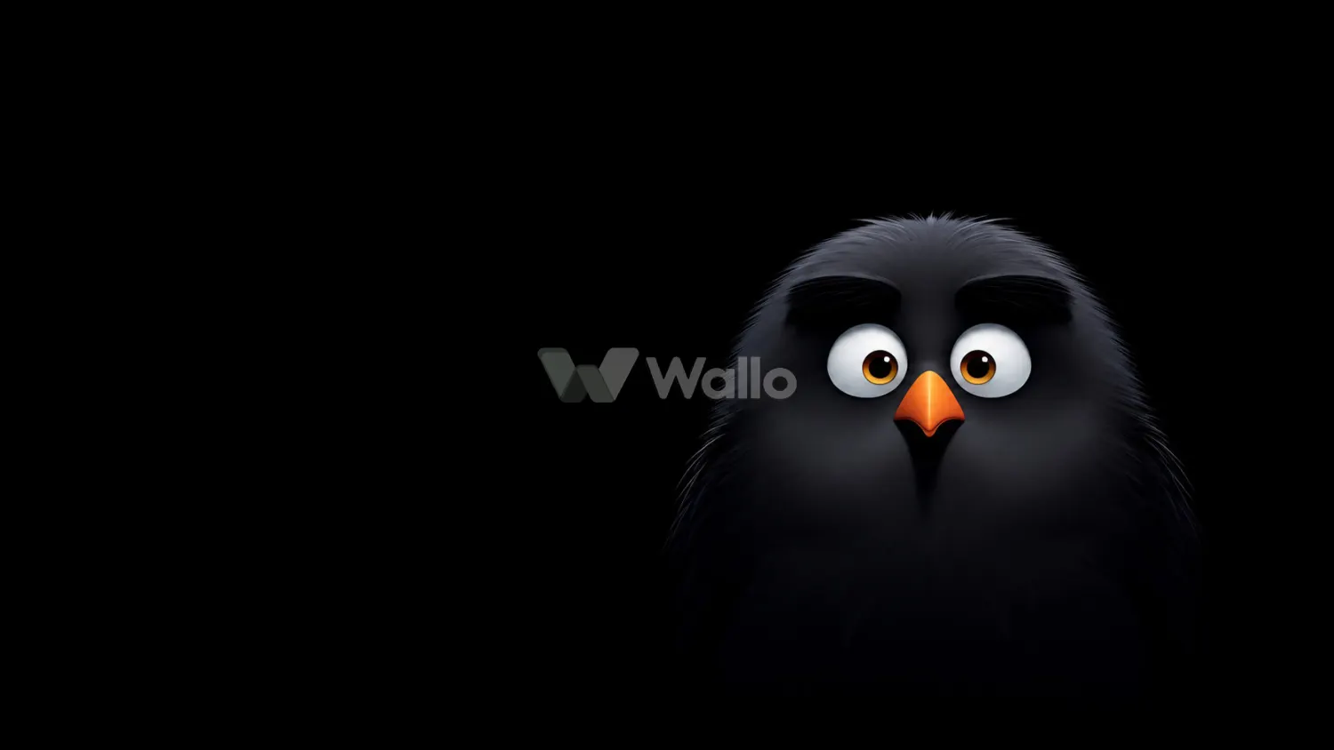 Little Black Bird