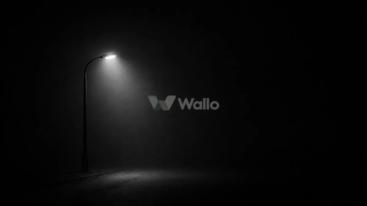 Fog Lamp