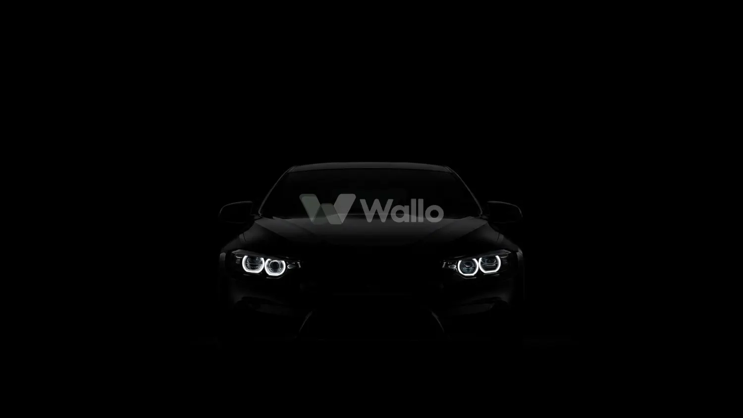 Shadow Coupe