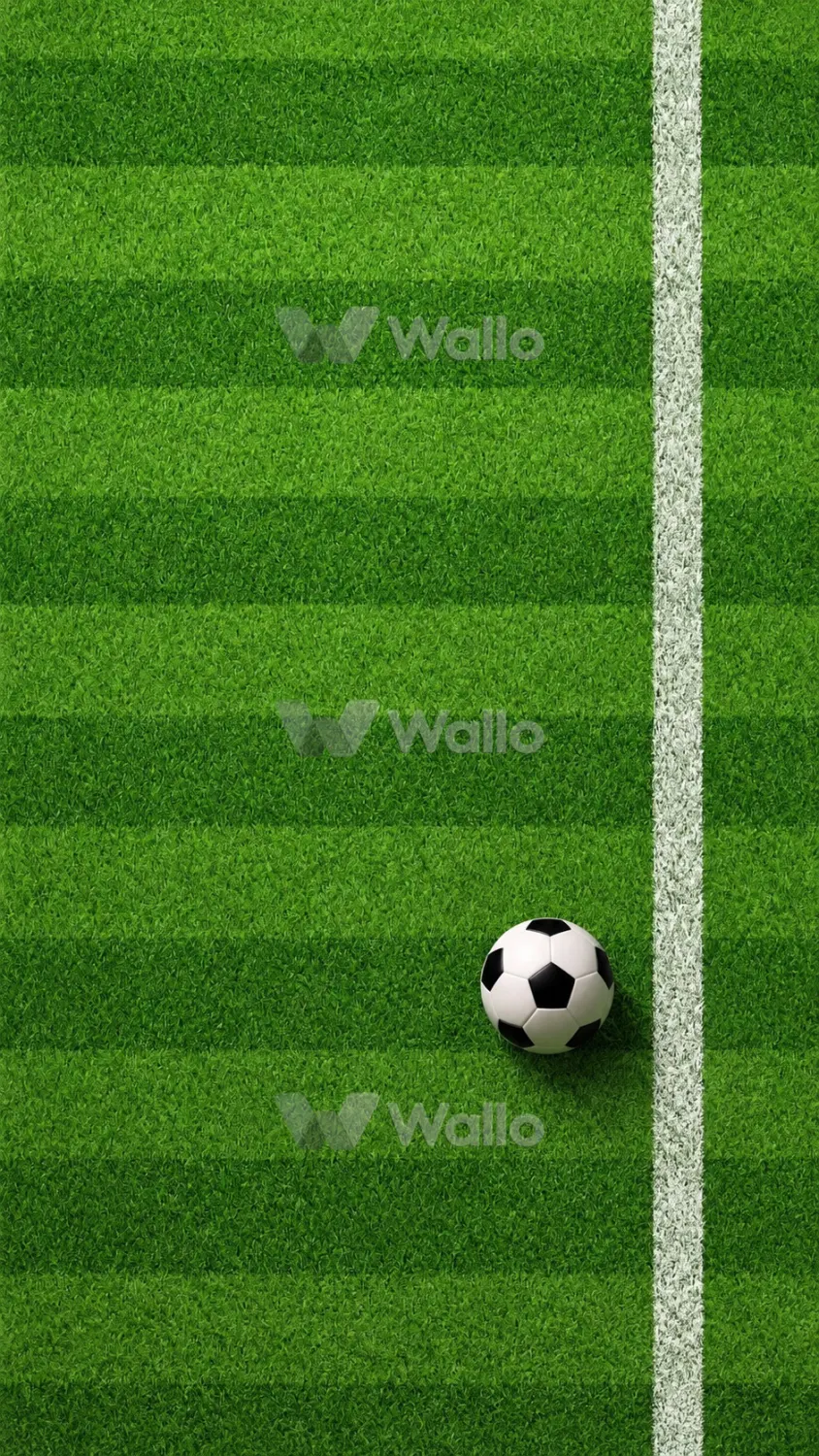 Touchline