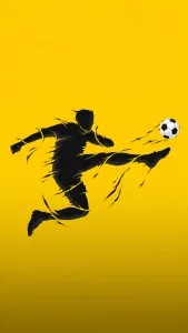 Volley