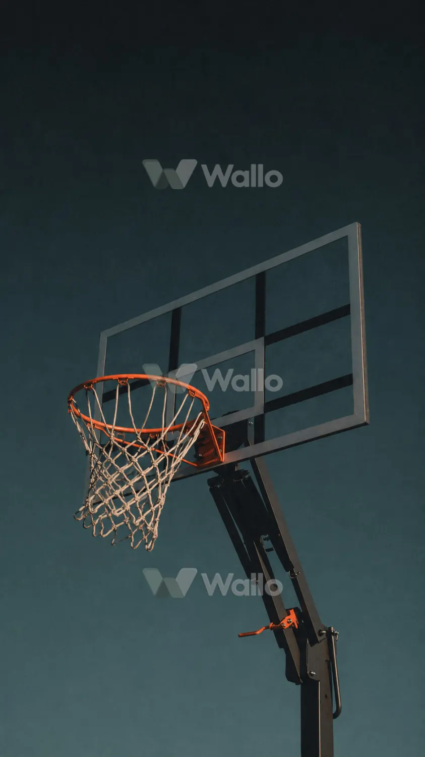 Open Sky Hoop
