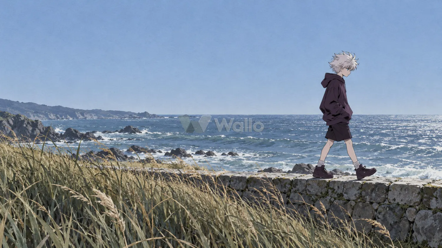 Killua Along the Windswept Coast