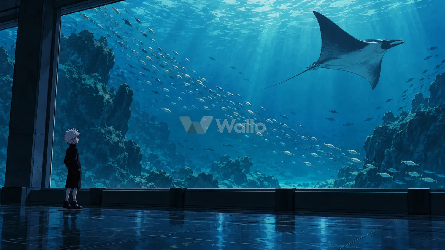 Killua in the Quiet Aquarium