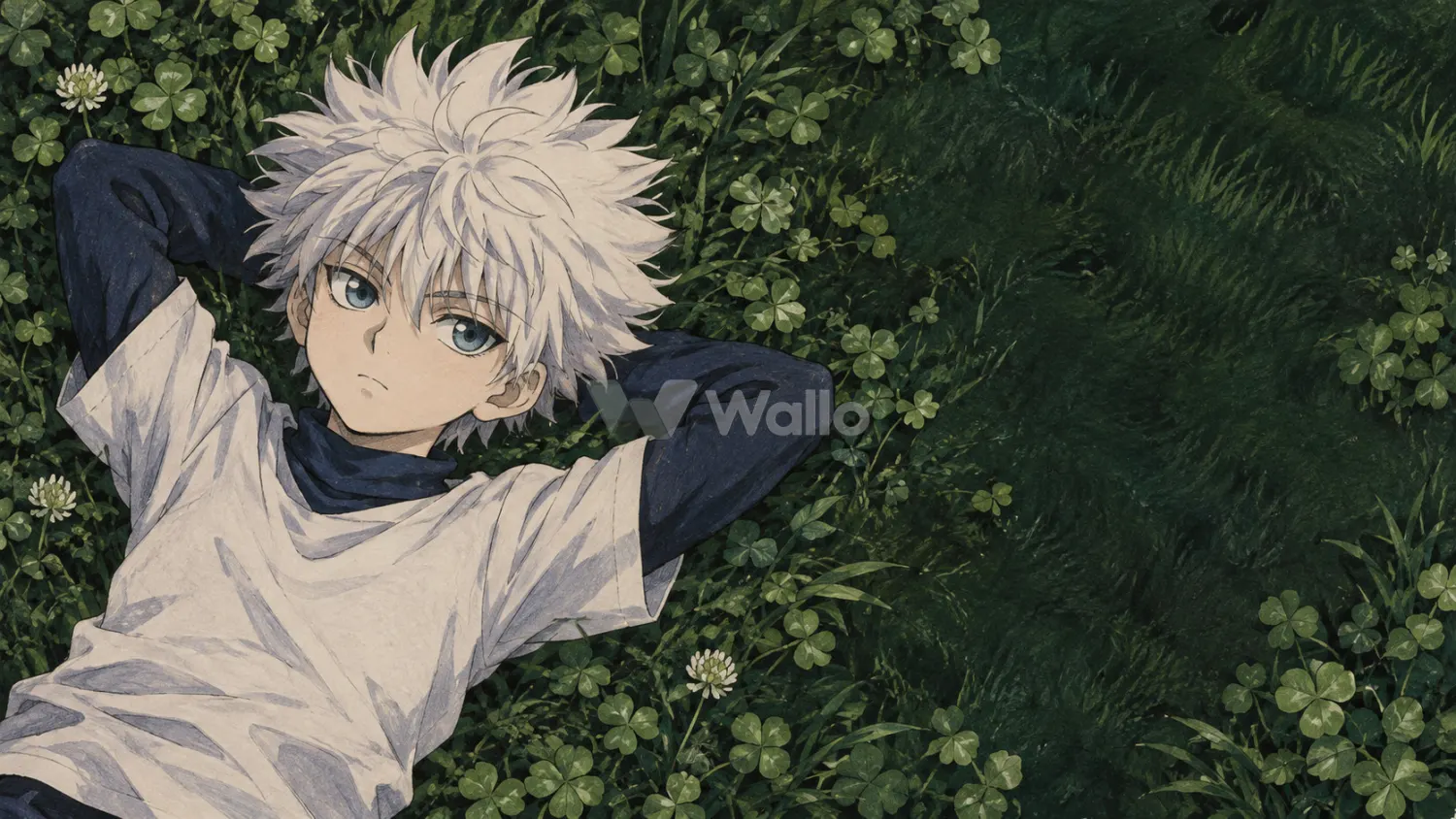 Killua in a Clover Garden