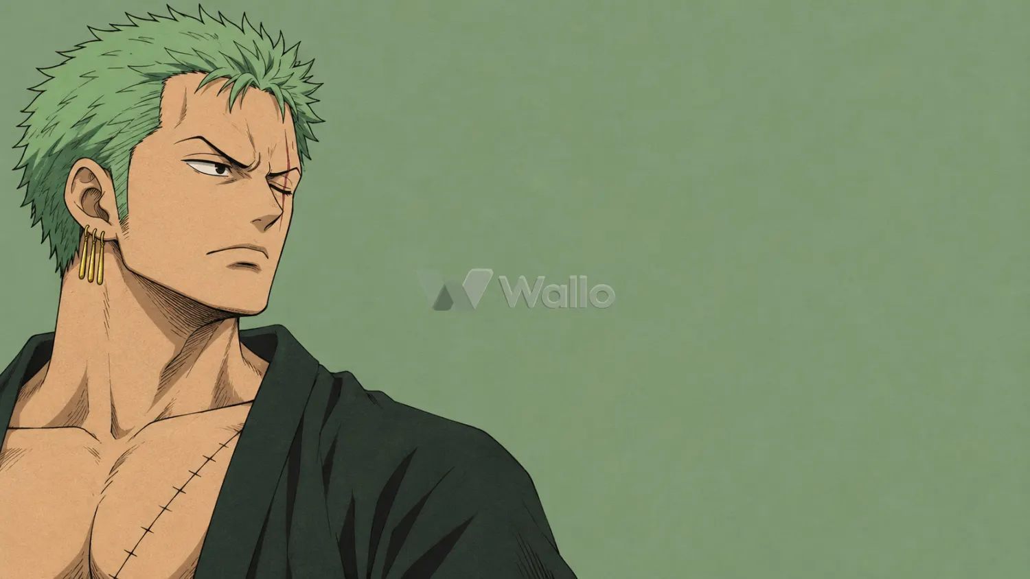Sage Ink Portrait of Zoro 3