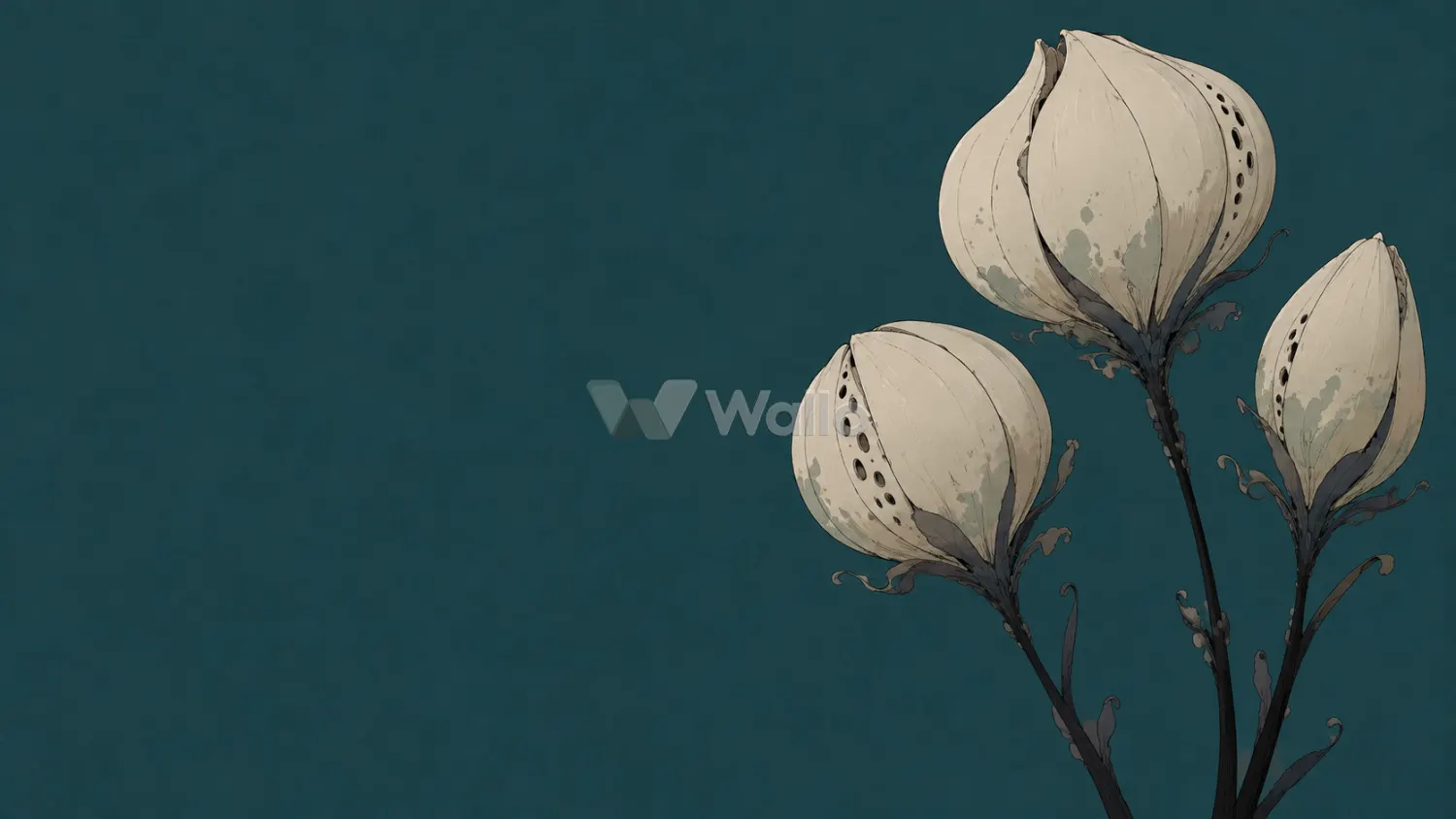 Cream Seed Heads on Teal