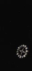 Endurance Ring in Silent Space