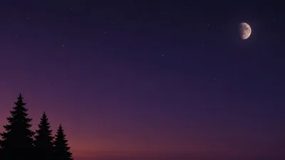 Plum Night Sky with Pine Silhouettes