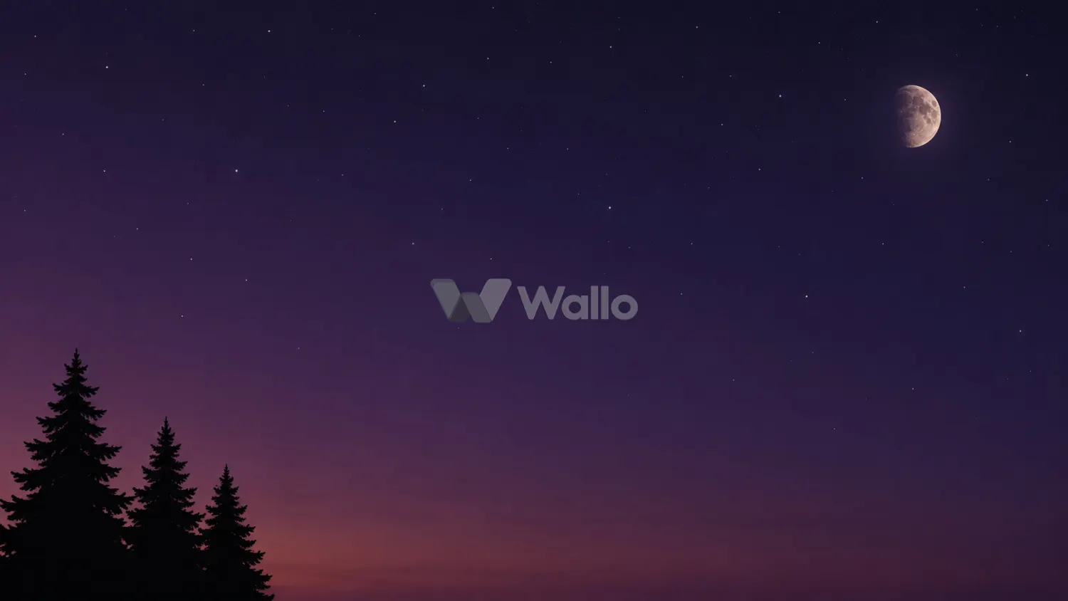 Plum Night Sky with Pine Silhouettes