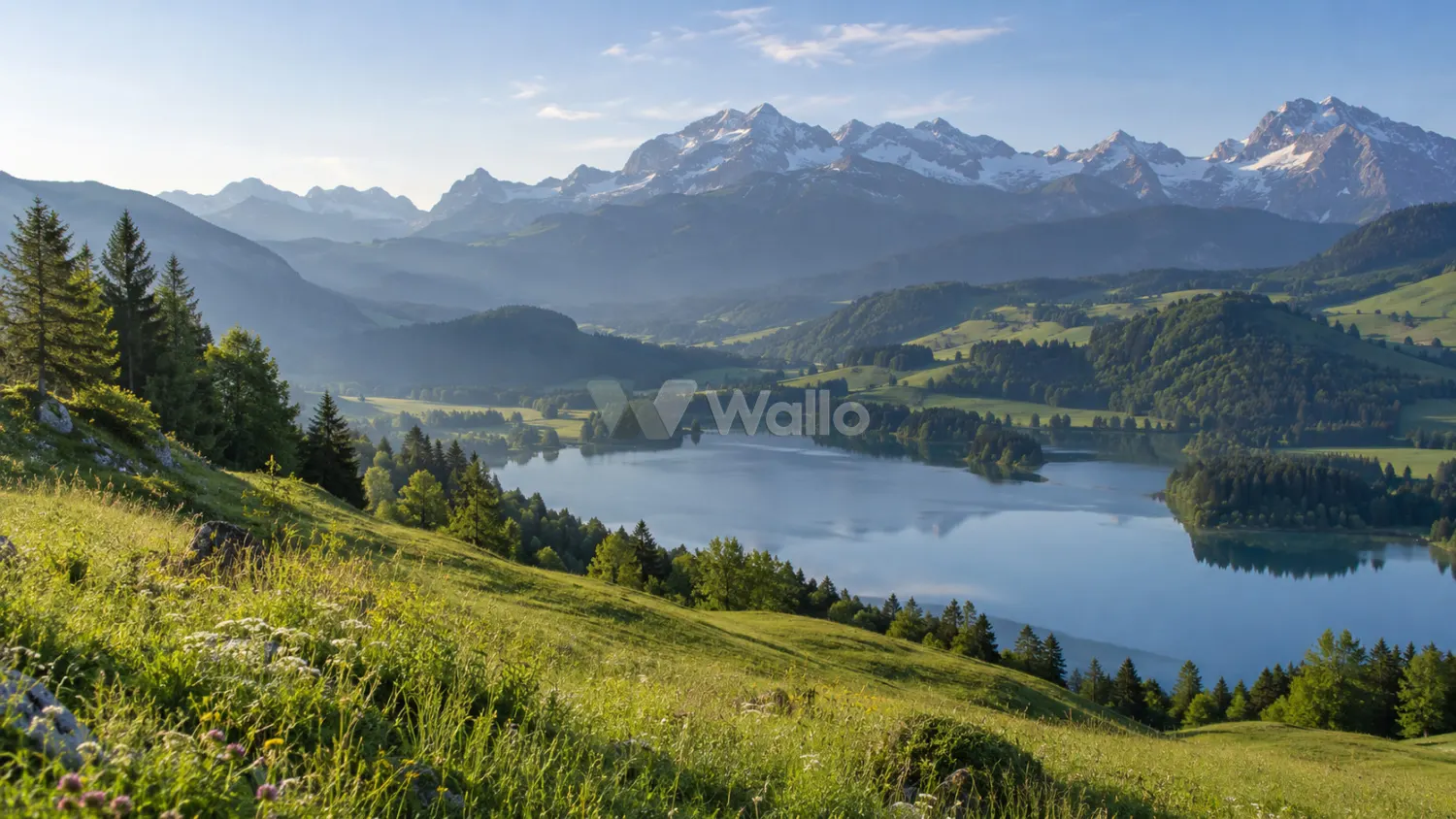 Quiet Alpine Lake and Rolling Pastures