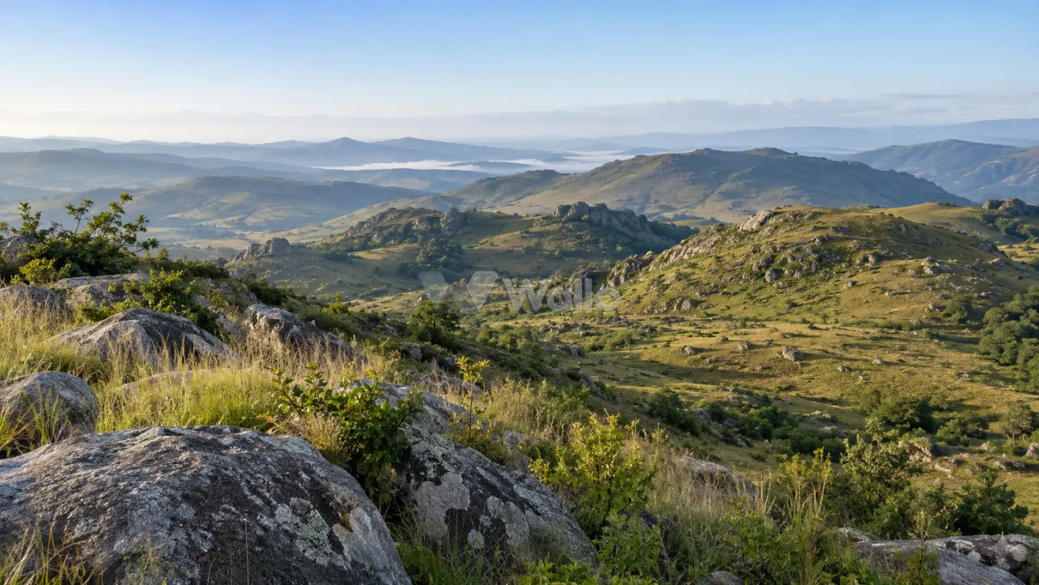 Nyanga Highlands in Morning Light