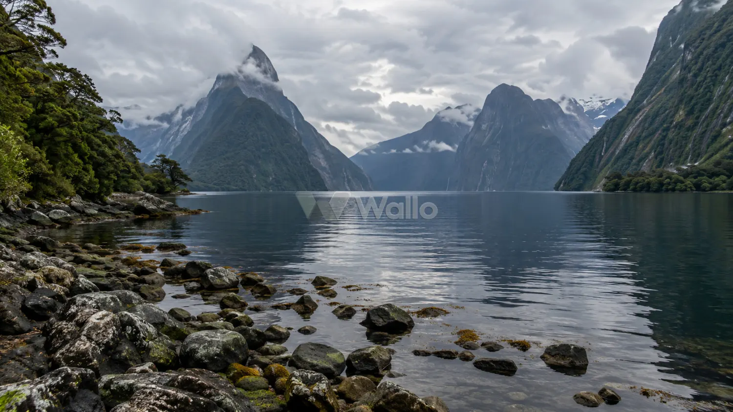 Milford Sound Under Quiet Skies