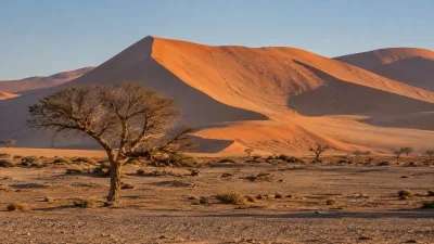 Sossusvlei Dunes in Morning Light